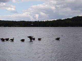 Vakantiehuis Hölö  18
