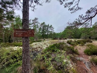 Ferienhaus Värmdö  24