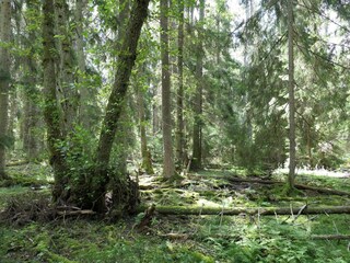 Ferienhaus Värmdö  16