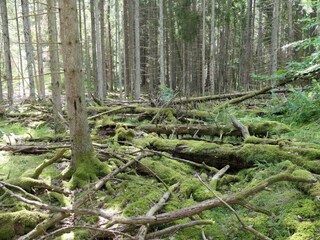 Ferienhaus Värmdö  25