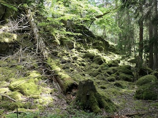 Ferienhaus Värmdö  9