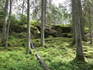 Vakantiehuis Värmdö  26