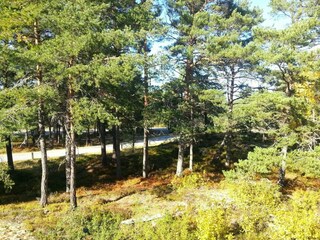 Ferienhaus Värmdö  27