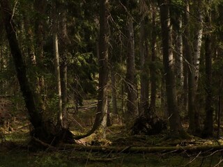 Vakantiehuis Värmdö  20