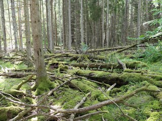 Vakantiehuis Värmdö  24