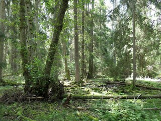 Vakantiehuis Värmdö  26