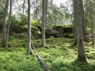 Ferienhaus Värmdö  27