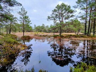 Vakantiehuis Värmdö  29