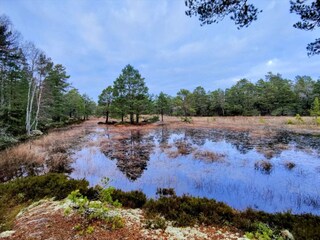 Vakantiehuis Värmdö  30