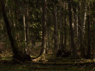 Vakantiehuis Värmdö  35