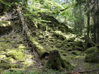 Vakantiehuis Värmdö  11