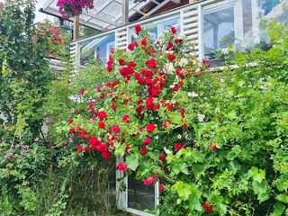 Holiday house Muskö Outdoor Recording 13