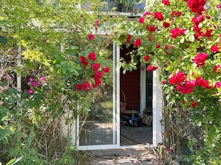 Holiday house Muskö Outdoor Recording 9