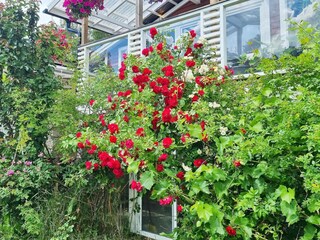 Vakantiehuis Muskö Buitenaudio-opname 4