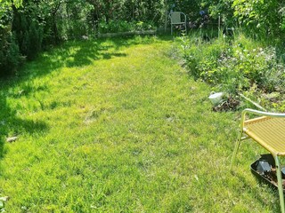 Ferienhaus Muskö Außenaufnahme 6