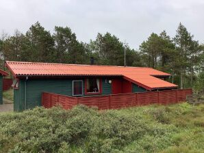 4 Personen Ferienhaus in Thisted - Vorupør - image1