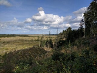 Casa per le vacanze Vorupør  10
