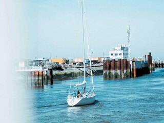 Casa de vacaciones Nieuwpoort Entorno 27