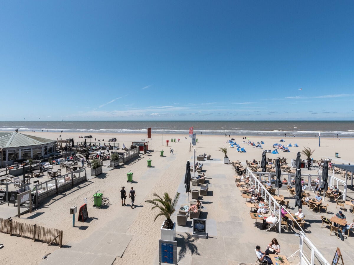 Ferienhaus Zandvoort Außenaufnahme 11