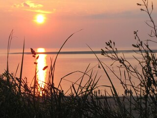 Ferienwohnung Borkum Umgebung 17