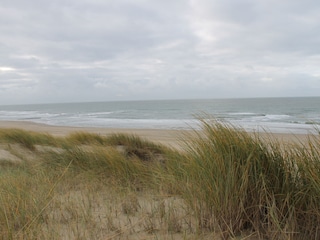 Bungalow Holland Umgebung 25