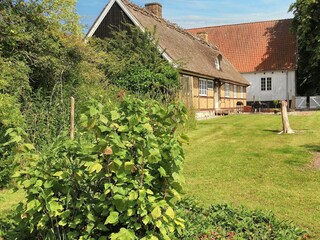 Ferienhaus Rødvig  6