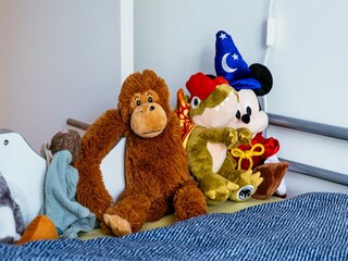 Casa per le vacanze Koksijde Caratteristiche 12