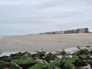 Vakantiehuis Koksijde Omgeving 37
