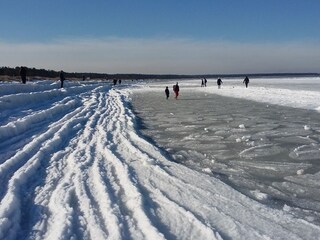 Der weite Zingster Strand im Winter
