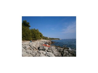 Appartamento Murter  22