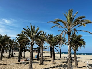 Strand Arenal