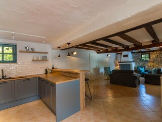 Villa Buići Caratteristiche 19