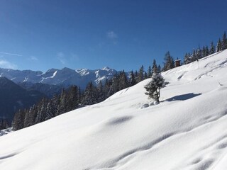 Appartamento Hollersbach im Pinzgau Ambiente 31