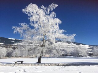 Appartamento Hollersbach im Pinzgau Ambiente 38