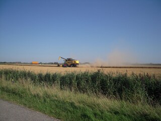 Chalet Domburg Ambiente 19