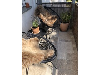 inkl. Loungeaustattung