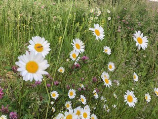 Urlaub in Owingen