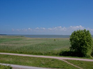 Ferienhaus Ahrenshoop Umgebung 30