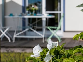 Ferienhaus Ahrenshoop Außenaufnahme 10