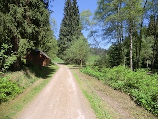 Wanderweg zum Stausee bei Schönheide