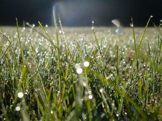 Appartement Kirchhundem  34