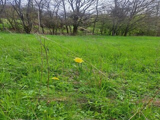 Appartement Kirchhundem  36