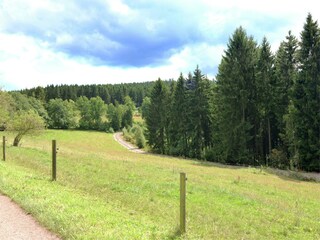 Appartement Kirchhundem Omgeving 32