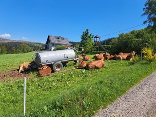 Apartment Kirchhundem Environment 28