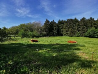 Appartement Kirchhundem Environnement 29
