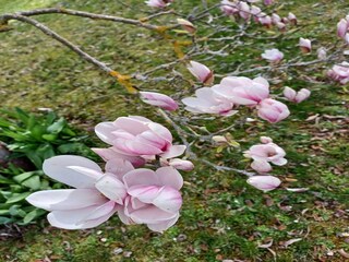 Apartment Kirchhundem  40