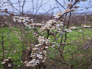 Apartamento Kirchhundem  36