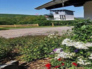 Appartamento Kirchhundem Registrazione all'aperto 4