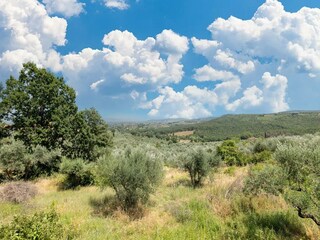 Casa de vacaciones Pergine Valdarno Entorno 38
