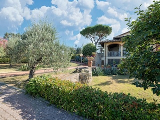 Ferienhaus Pergine Valdarno Außenaufnahme 5